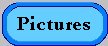 Pictures